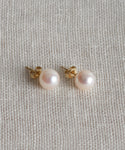 The Large Loren Pearl Studs are round freshwater pearl earrings with gold posts and backings, shown on a textured cream-colored fabric.