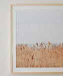 ‘Motion,’ a Daniella Dolenc photograph featuring tall golden-brown grass beneath a pale, cloudy sky, hangs in an elegant European pine frame on a light wall, bringing a peaceful and minimalist touch to the space.
